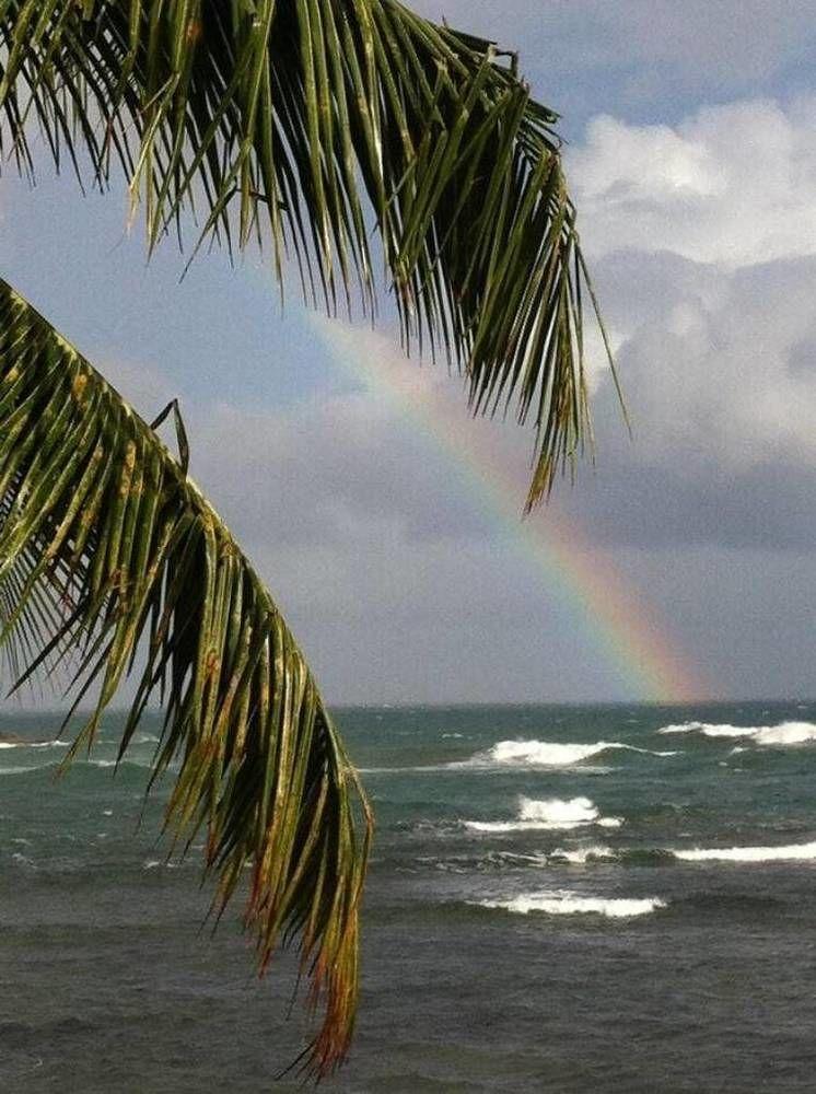 Rainbow Beach Apartments & Rooms Calibishie Eksteriør bilde